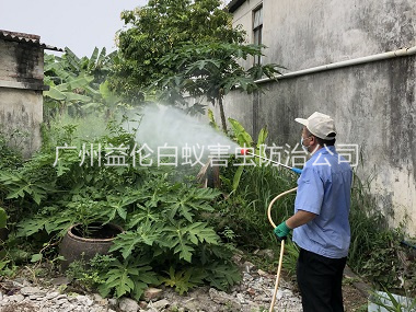 南沙社区消灭蚊子工程