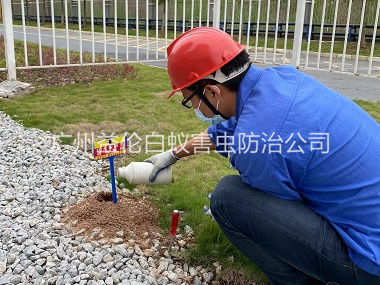 海珠红火蚁防治工程